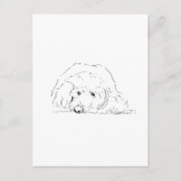 Cockapoo-Welpe, Geschenkideen für Hundebesitzer