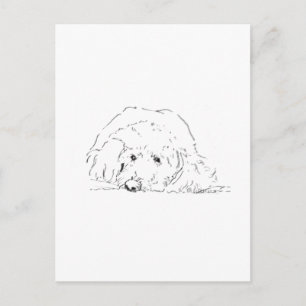 Cockapoo-Welpe, Geschenkideen für Hundebesitzer Postkarte