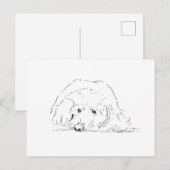 Cockapoo-Welpe, Geschenkideen für Hundebesitzer Postkarte (Vorne/Hinten)
