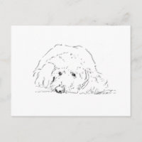 Cockapoo-Welpe, Geschenkideen für Hundebesitzer