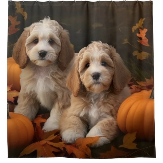 Cockapoo Welpe Herbst Kürbis Duschvorhang (Vorderseite)