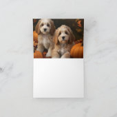Cockapoo Welpe Herbst Kürbis Karte (Innenseite)