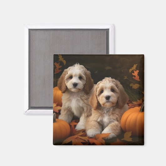 Cockapoo Welpe Herbst Kürbis Magnet (Vorderseite/Rückseite)