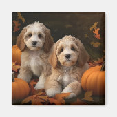 Cockapoo Welpe Herbst Kürbis Magnet (Vorne)
