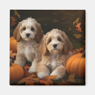 Cockapoo Welpe Herbst Kürbis Magnet