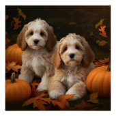 Cockapoo Welpe Herbst Kürbis Poster (Vorderseite)