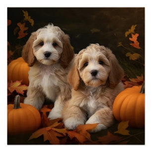 Cockapoo Welpe Herbst Kürbis Poster