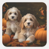 Cockapoo Welpe Herbst Kürbis Quadratischer Aufkleber (Vorderseite)