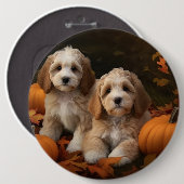 Cockapoo-Welpe Herbstfreude Kürbis Button (Vorne & Hinten)