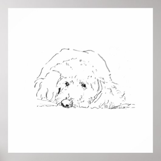 Cockapoo-Welpenposter, Geschenkideen für Hundebesi Poster (Vorne)
