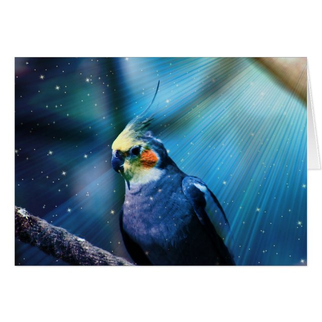 Cockatiel (Vorderseite (Horizontal))