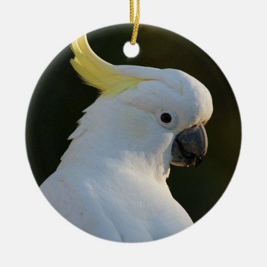 Cockatiel Bird Keramik Ornament (Vorne)