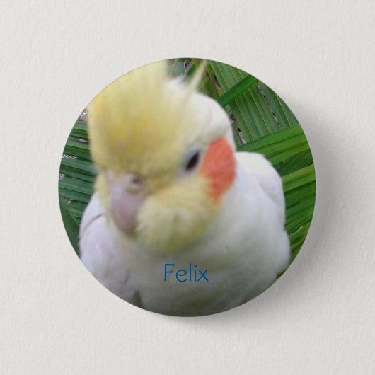 Cockatiel Button (Vorderseite)
