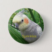 Cockatiel Button (Vorderseite)