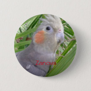Cockatiel Button