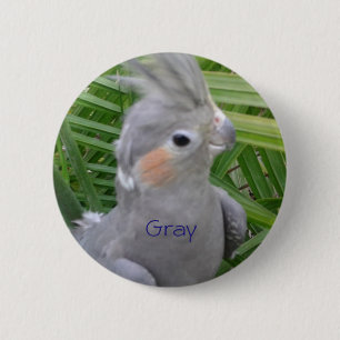 Cockatiel Button