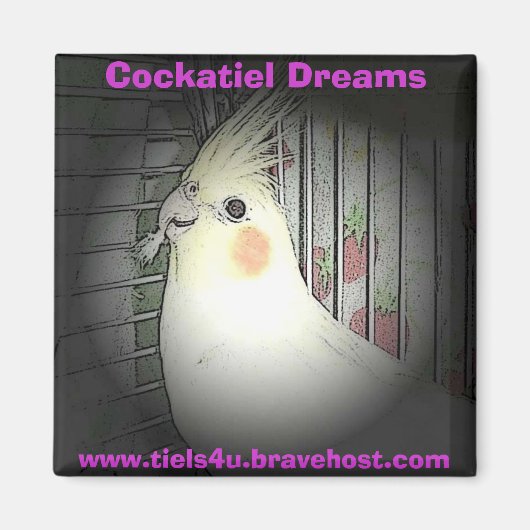 Cockatiel Dreams Magnet (Vorne)