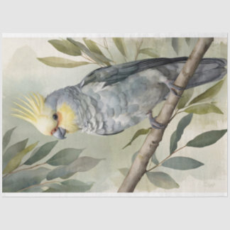 Cockatiel Eukalyptus Tree Decoupage Seidenpapier