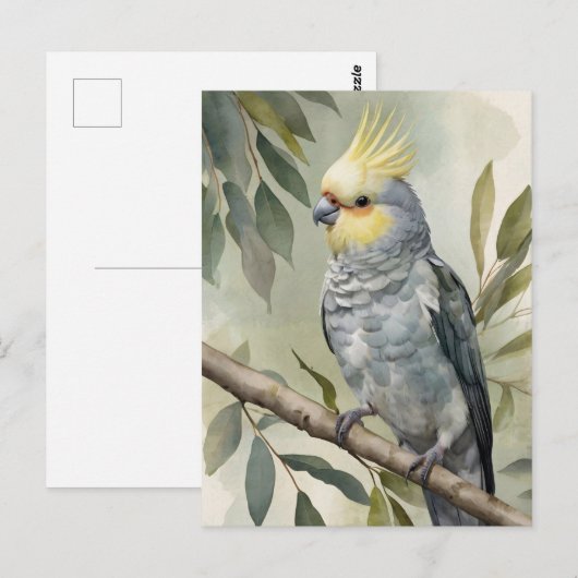 Cockatiel Eukalyptus Tree Postkarte (Vorne/Hinten)