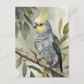 Cockatiel Eukalyptus Tree Postkarte (Vorderseite)