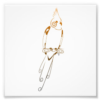 Cockatiel Fotodruck