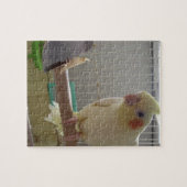 Cockatiel Fun Puzzle (Horizontal)