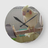 Cockatiel Fun Runde Wanduhr (Vorderseite)