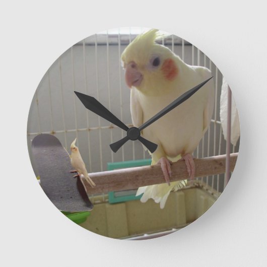 Cockatiel Fun Runde Wanduhr (Vorderseite)