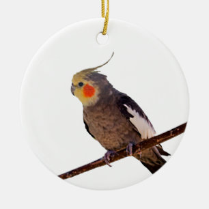 Cockatiel Graue und gelbe Vogelfotografie Keramikornament