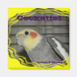 Cockatiel-Haustier-Vogel MAGNET