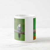 Cockatiel Kaffeetasse (Mittel)