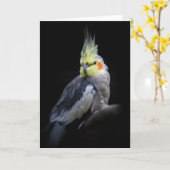 Cockatiel-Karte Karte (Gelbe Blume)