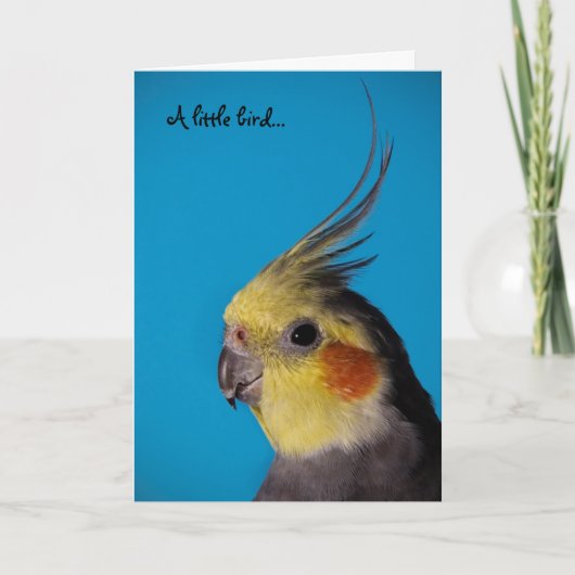 Cockatiel, kleiner Vogel A… Karte (Vorderseite)