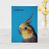 Cockatiel, kleiner Vogel A… Karte (Gelbe Blume)