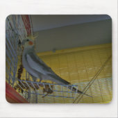 Cockatiel Mouse Pad Mousepad (Vorne)