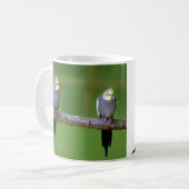Cockatiel , Nymphicus hcus Kaffeetasse (Vorderseite Links)