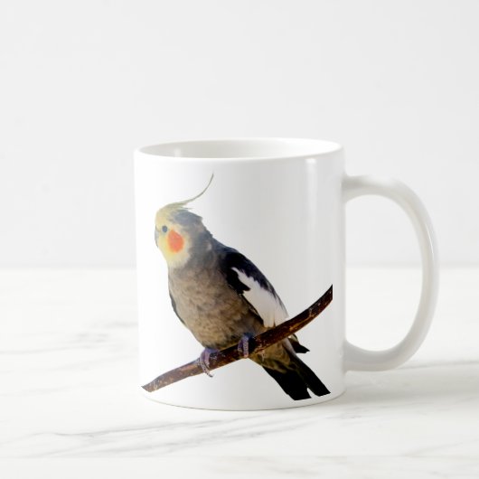 Cockatiel , Nymphicus hcus Kaffeetasse (Rechts)