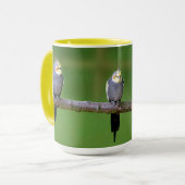 Cockatiel , Nymphicus hcus Tasse (Vorderseite Links)