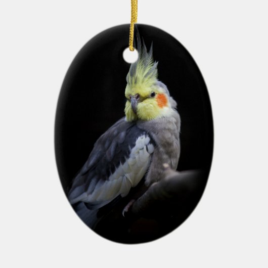 Cockatiel-Ornament Keramik Ornament (Vorne)