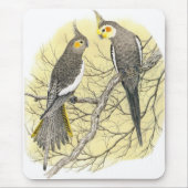 Cockatiel-Paare - Nymphicus hollandicus Mousepad (Vorne)