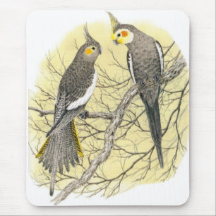Cockatiel-Paare - Nymphicus hollandicus Mousepad