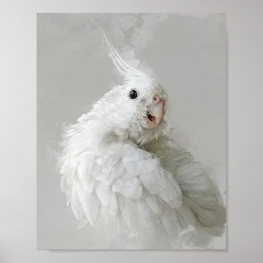 Cockatiel Portrait 012 Poster (Vorne)