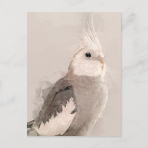 Cockatiel Portrait No.9 Postcard Postkarte