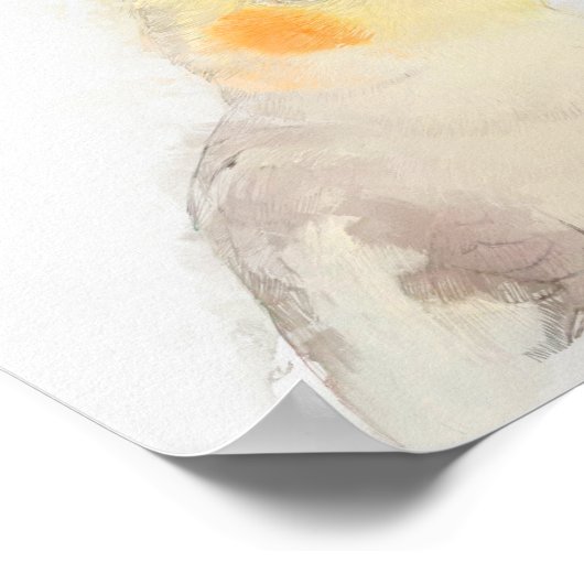 Cockatiel Portrait Poster (Ecke)