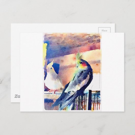 Cockatiel Postkarte (Vorne/Hinten)