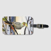 Cockatiel-Profil-Fotografie Gepäckanhänger (Vorderseite (Horizontal))