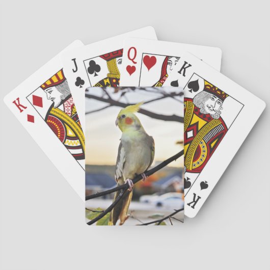 Cockatiel-Profil-Fotografie Spielkarten (Rückseite)
