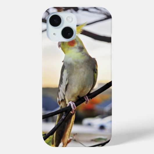 Cockatiel-Profilbild Case-Mate iPhone Hülle (Rückseite)
