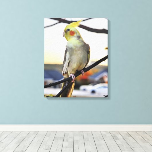Cockatiel Profile Photograph Leinwanddruck (Insitu (Holzboden))