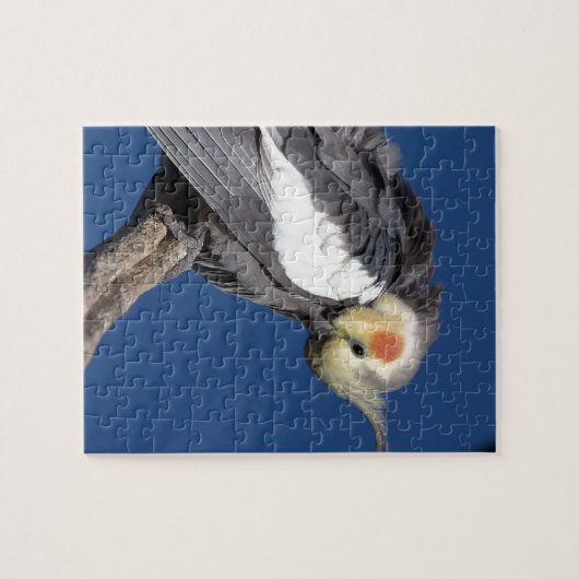 Cockatiel Puzzle (Horizontal)